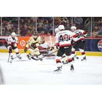 Belleville Senators goaltender Leevi Merilainen keeps watch on the Hershey Bears