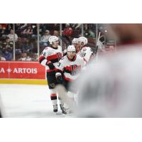 Belleville Senators gather after a goal