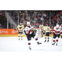 Belleville Senators right wing Graeme Clarke