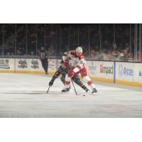 Grand Rapids Griffins forward Eduards Tralmaks handles the puck