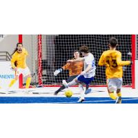 San Diego Sockers goalkeeper Boris Pardo prepares for a shot from the Kansas City Comets' David Stankovic