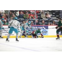 San Jose Barracuda defenseman Noah Beck (70) fishes for the puck vs. the Tucson Roadrunners