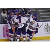 Orlando Solar Bears celebration