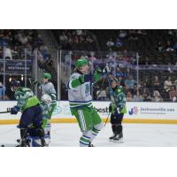 Florida Everblades react after a goal