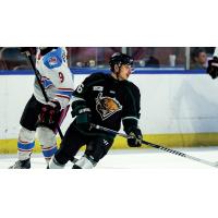 Danny Dzhaniyev of the Utah Grizzlies