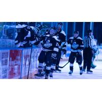 Wichita Thunder exchange congratulations along the bench