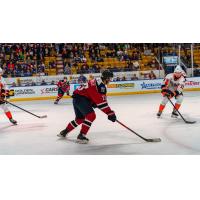 Kitchener Rangers centre Sam O'Reilly vs. the Flint Firebirds