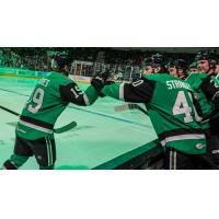 Texas Stars exchange congratulations along the bench