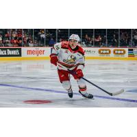 Grand Rapids Griffins defenseman Jacob Truscott