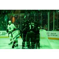 Texas Stars celebrate a goal against the Chicago Wolves