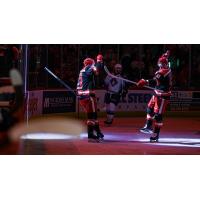 Grand Rapids Griffins react after a goal