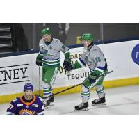 Florida Everblades forwards Oliver Chau and Carson Gicewicz