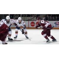 Peterborough Petes left wing Leon Kolarik (right) vs. the Barrie Colts