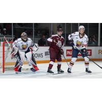 Peterborough Petes centre Aiden Young vs. the Barrie Colts