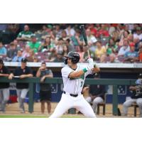 Dayton Dragons outfielder Anthony Stephan