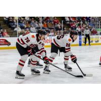 Rapid City Rush defenseman Xavier Bernard (left) and forward Seth Fyten