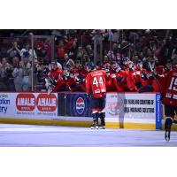 South Carolina Stingrays defenseman Stevie Leskovar