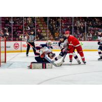 Saginaw Spirit goaltender Stepan Shurygin vs. the Soo Greyhounds