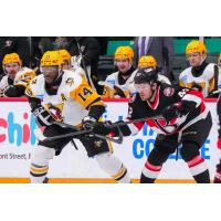 Belleville Senators right wing Hayden Hodgson (right) vs. the Wilkes-Barre/Scranton Penguins