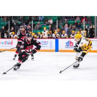 Belleville Senators right wing Graeme Clarke with the puck vs. the Wilkes-Barre/Scranton Penguins