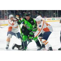 Greenville Swamp Rabbits' Caiden Gault and Josh Zary battle Savannah Ghost Pirates' Liam Walsh and Nick Granowicz