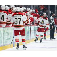Grand Rapids Griffins Ondrej Becher congratulated by team