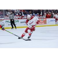 Allen Americans right wing Kevin Gursoy