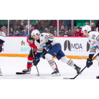 Springfield Thunderbirds forward Dylan Peterson vs. the Belleville Senators