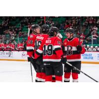Belleville Senators huddle vs. the Springfield Thunderbirds