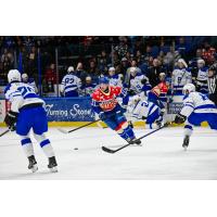 Syracuse Crunch right wing Mitchell Chaffee vs. the Cleveland Monsters