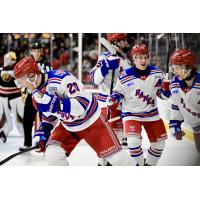 Kitchener Rangers react after a goal