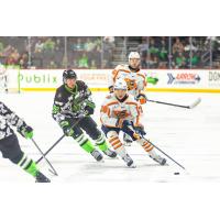 Greenville Swamp Rabbits forward Denis Smirnov with the puck