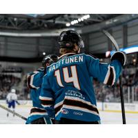 San Jose Barracuda's Kasper Halttunen on game night