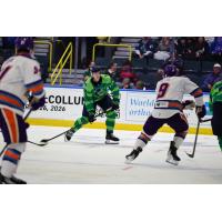 Florida Everblades forward Sam Stange