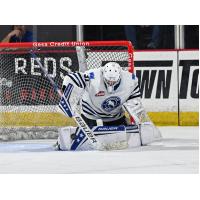 Former Wenatchee Wild goaltender Daniel Hauser