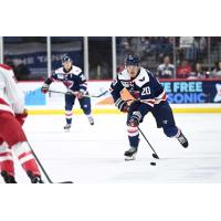 South Carolina Stingrays forward Justin Nachbaur