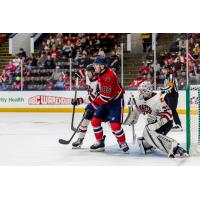Rapid City Rush goaltender Rico DiMatteo vs. the Kalamazoo Wings