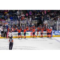 Worcester Railers exchange congratulations along the bench