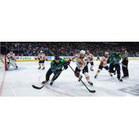 Greenville Swamp Rabbits defenseman Jake Murray (right) vs. the Jacksonville Icemen