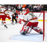 Grand Rapids Griffins goaltender Michal Postava vs. the Rockford IceHogs