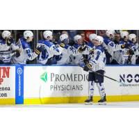 Toledo Walleye defenseman Brendon Michaelian along the bench