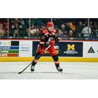 Grand Rapids Griffins forward William Dufour