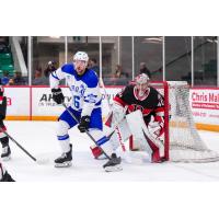 Belleville Senators goaltender Mads Søgaard