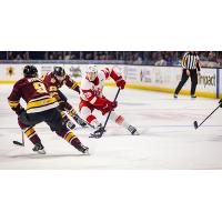 Grand Rapids Griffins forward Michael Brandsegg-Nygard