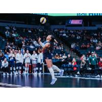 Grand Rapids Rise on the serve