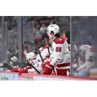 Allen Americans defenseman Andre Anania