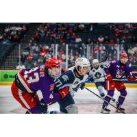 Grand Rapids Griffins right wing Carter Mazur tries to hold off the Milwaukee Admirals