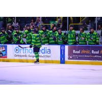 Florida Everblades forward Sam Stange congratulated along the bench