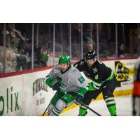 Florida Everblades forward Craig Needham