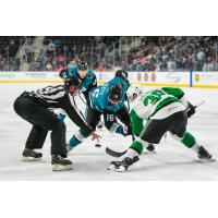 San Jose Barracuda center Colin White faces off with the Texas Stars
